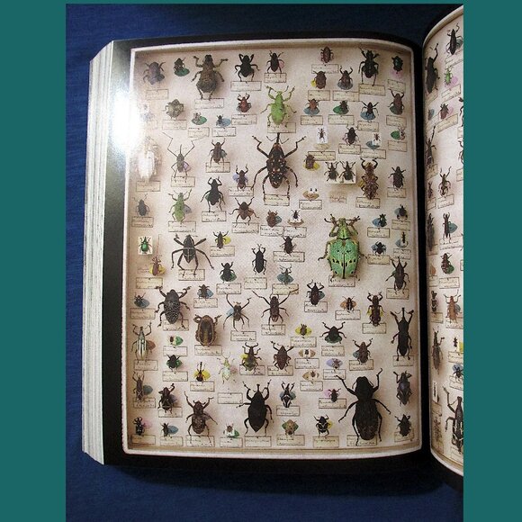 Book: A Short History of Nearly Everything by Bill Bryson - Picture 3 of 15